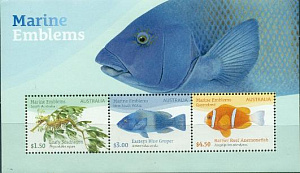 Австралия, 2024, Рыбы, блок